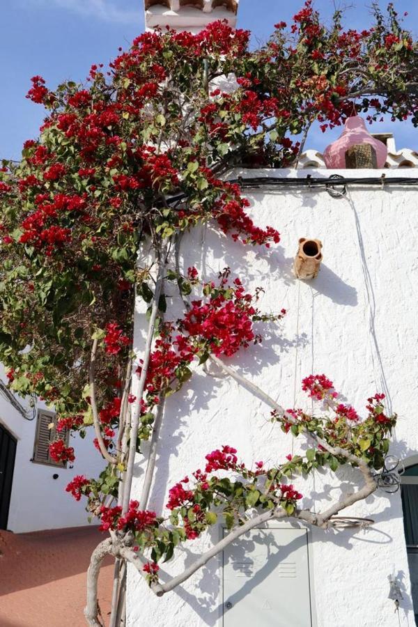 Casa Caballito De Mar Boutique B&B Bédar Exterior foto