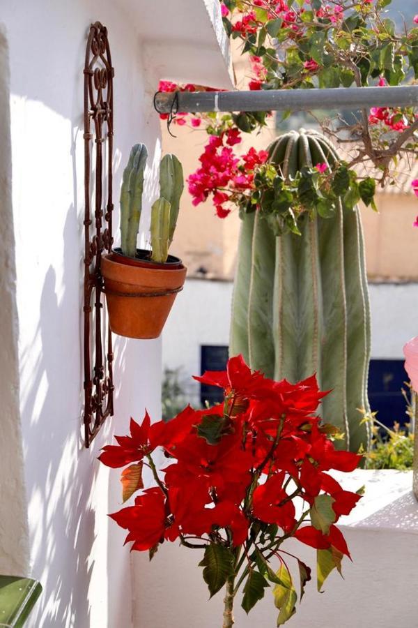 Casa Caballito De Mar Boutique B&B Bédar Exterior foto