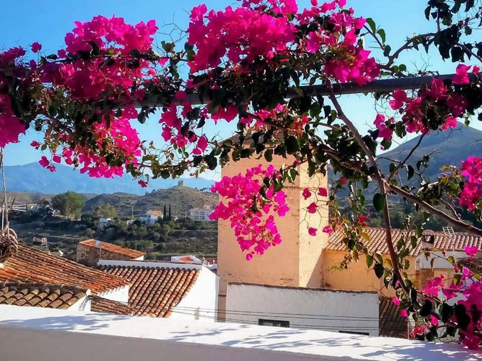 Casa Caballito De Mar Boutique B&B Bédar Exterior foto